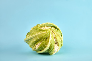 cauliflower closeup, photo isolated on blue background