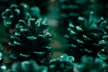 Fir cones in green paint on paper are laid out in rows to dry. Fir rows, Christmas colors, the process of creating a Christmas wreath of cones.