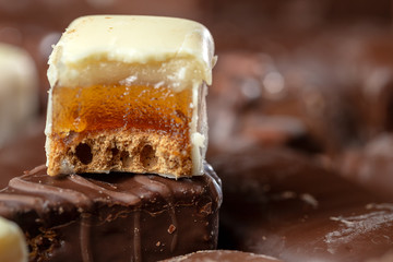 Appetizing food background. Assortment of chocolate handmade close up. Chocolate background. 