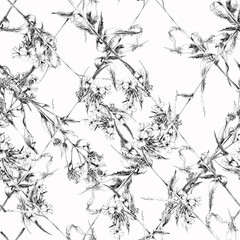 Artistic hand-drawing of flowers hesperis. Black liner on white paper. Seamless pattern. Design wallpaper, textiles, covers, fabrics, packaging, wrapping paper, backgrounds.