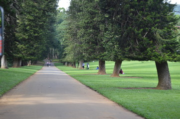 Peradeniya Royal Botanical Garden kandy Sri lanka 