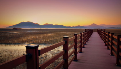 Obraz premium Sunset in Suncheon bay, Jeollanamdo, South Korea