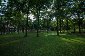 A beautiful view of Bali in Indonesia.