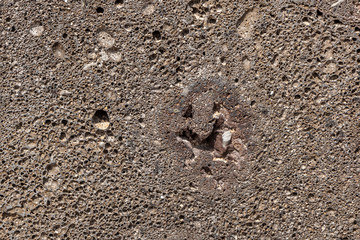 Beautiful texture of orange stone with holes is in the park