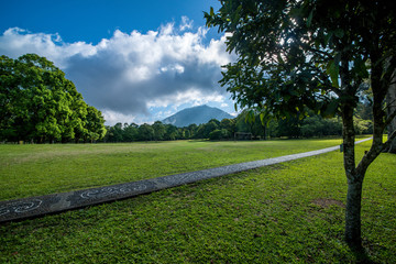 A beautiful view of nature in Bali, Indonesia.