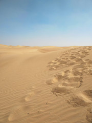 Fototapeta na wymiar Wüstensafari in Dubai