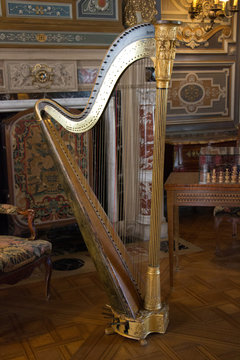 arpa en el sal&oacute;n