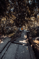 Naklejka premium A beautiful view of Goa Gajah temple in Bali, Indonesia.