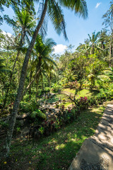 A beautiful view of Goa Gajah temple in Bali, Indonesia