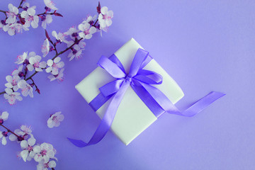 Gift with purple  bow and flowering tree branches on the purple background.Top view.Copy space.
