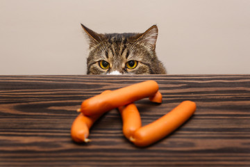 Grey cat wants to steal sausages
