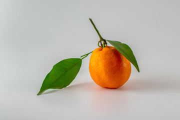 Single mandarin with two leaves, isolated. Copy space for text.