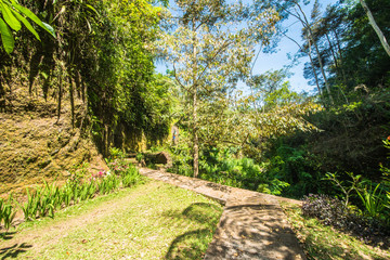A beautiful view of waterfall in Bali, Indonesia.