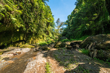 Fototapeta na wymiar A beautiful view of waterfall in Bali, Indonesia.