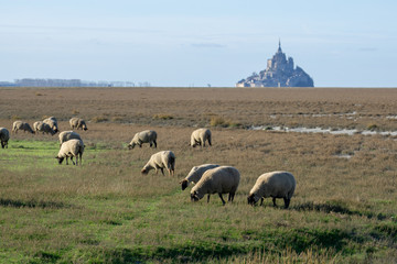 Le Mont Saint-Michel in Frankreich -Normandie