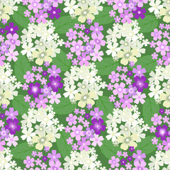 Vector floral ethnic seamless pattern in doodle style with flowers and leaves. Bouquets of Daisies. Gentle, spring, summer floral background.