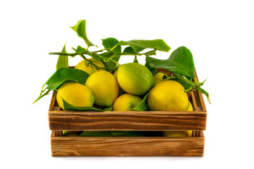 Fresh lemons with green leaves in a wooden crate. Isolated on white background.