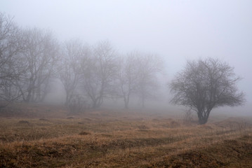 Obraz na płótnie Canvas Dark foggy autumn countriside view in morning