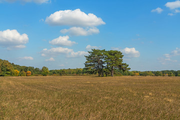 Fototapeta na wymiar Steppe autumn natural landscape view. Askania-Nova is a biosphere reserve (sanctuary) located in Kherson region, Ukraine.