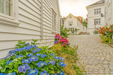 Fototapeta na wymiar Stavanger white wooden houses, old town street, Norway