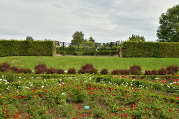 Décoration florale de la roseraie au domaine Coloma à St-Pieter-Leeuw