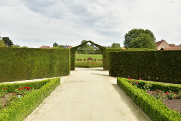 Allées et chemins entre les haies ou parcelles de roses à la roseraie Coloma à St-Pieter-Leeuw