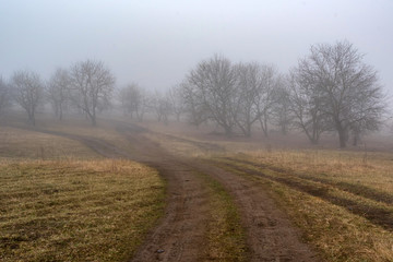 Fototapeta na wymiar Dark foggy autumn countriside view with road in morning