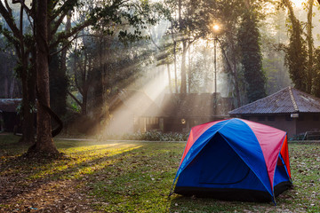 Family camping tent in the woods. National park in Thailand with camping bungalows. Stunning morning light between high trees. Nature, trekking and tourism in Asia. Travel and tourism in Thai.