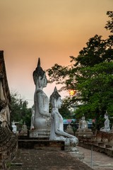  Buddha statues at sunset inside Wat Yai Chai Mongkhon, a Buddhist temple of archaeological park, Ayutthaya, Thailand