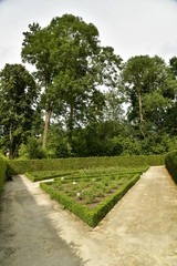 Parterres de roses entourées de haie en forme à la roseraie du château Coloma à St-Pieter-Leeuw 