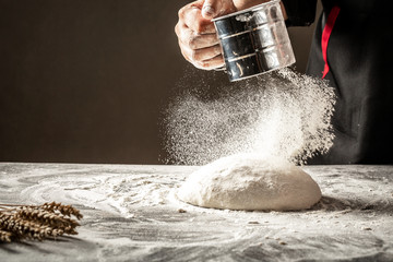 An experienced chef in a professional kitchen prepares the dough with flour to make the bio Italian...