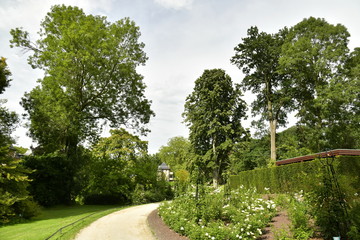 Fototapeta na wymiar Chemin en gravier fin traversant la végétation luxuriante du domaine Coloma à St-Pieter-Leeuw 