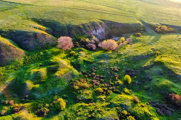 Aerial view green steppe nature in Don region