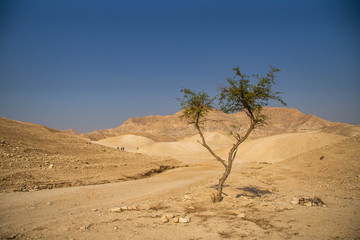 People hiking on hills of Judaean Desert, Dead Sea area, Israel