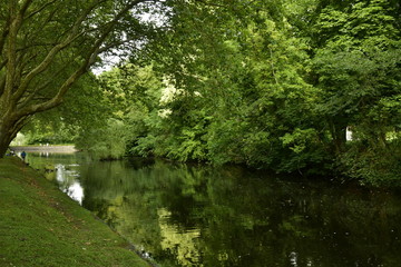 La végétation luxuriante le long de l'étang du château Coloma à Sint-Pieter-Leeuw 