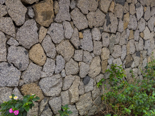 Pared de piedra con flores silvestres en la base de diferentes colores