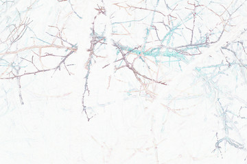 tree in fog