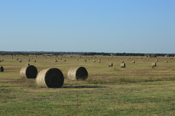 Texas quiet moment, perfect for imagination to kick in © Lui Dina