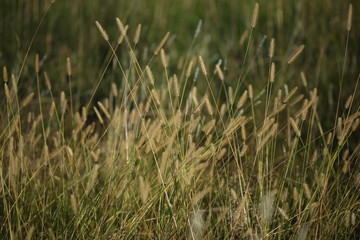 Texas quiet moment, perfect for imagination to kick in