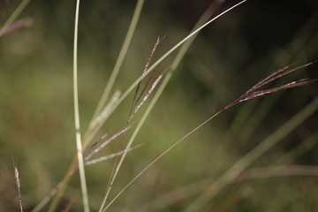 Texas quiet moment, perfect for imagination to kick in