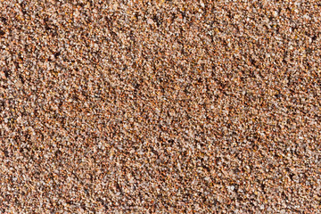 Small pebbles form the background of the sea shore. Coarse multicolor sand.