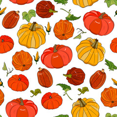  Autumn seamless pattern of  various pumpkins  Thanksgiving day,Halloween background. Vector autumn illustration of vegetables. for wrap paper, wallpaper, background, seasonal fabric print.Detailed  h