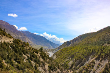 Mountains of Nepal. Mountain vegetation