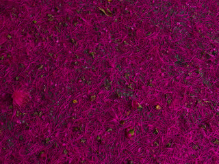 Fototapeta premium piso con textura morada de flores que caen de un árbol floral 
