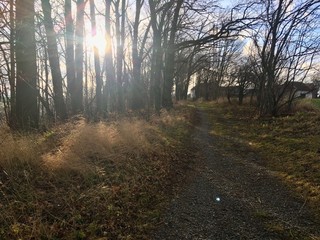 Obraz premium End of forest road at sunset, beginning of village with one house