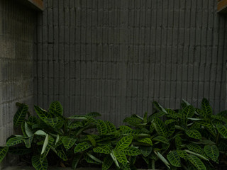 Pared de ladrillo con plantas en una jardinera con hojas verdes
