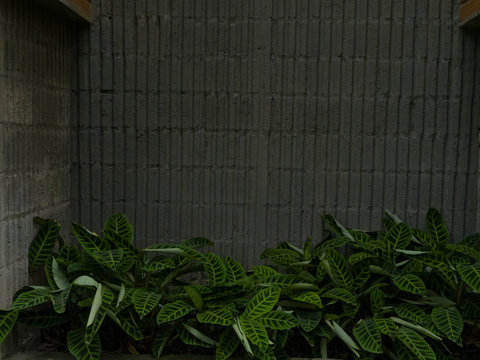 Pared de ladrillo con plantas en una jardinera con hojas verdes