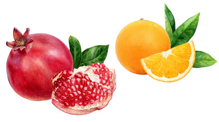 Pomegranate orange fruits set composition watercolor isolated on white background