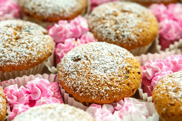 Fresh biscuits with powdered sugar