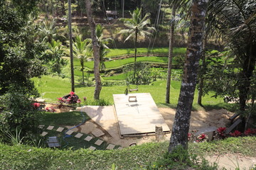 A beautiful view of nature in Bali, Indonesia